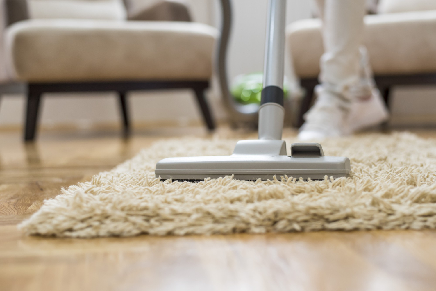 Professional Carpet Cleaning for Your Home and Office